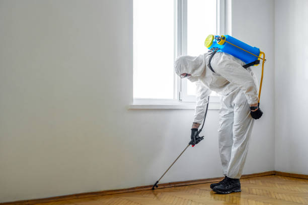 Best Local Pest Control Services  in Linden, CA