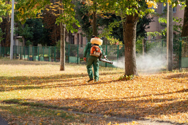 Best Affordable Pest Control Services  in Linden, CA